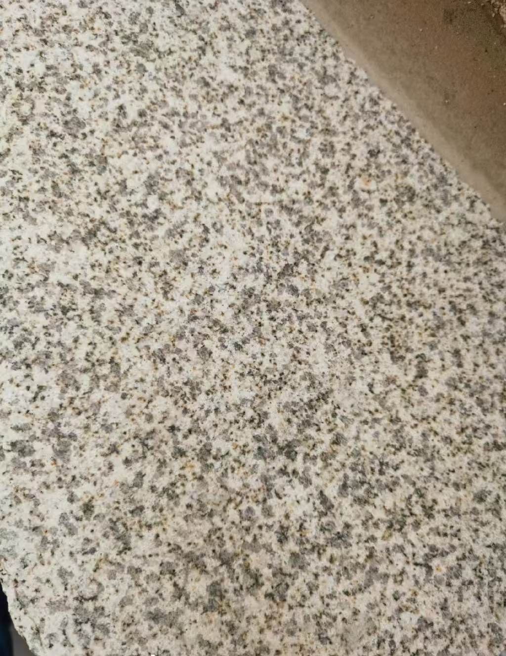 安顺 黄金麻中黄光面
