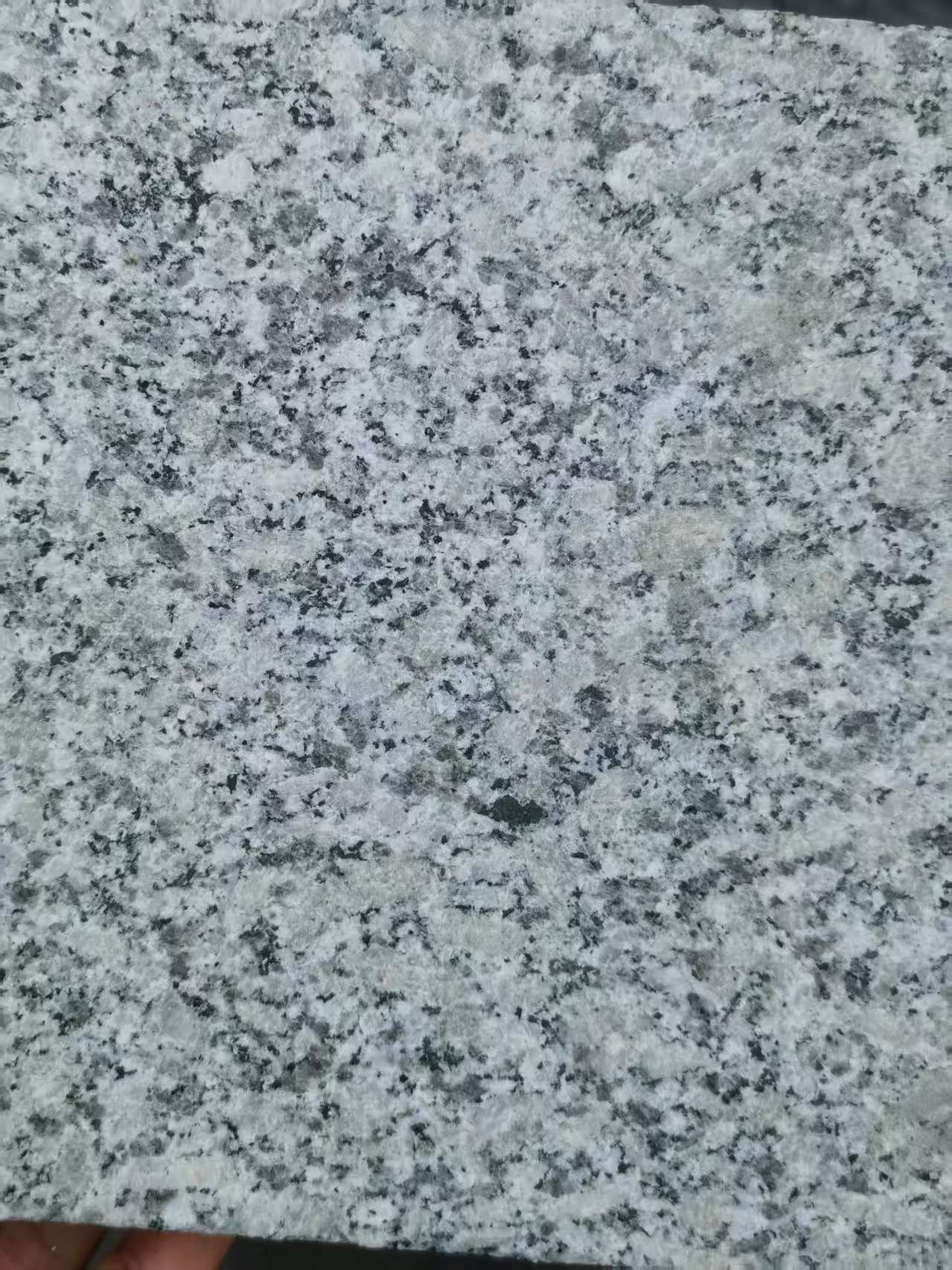 安顺 芙蓉白火烧面