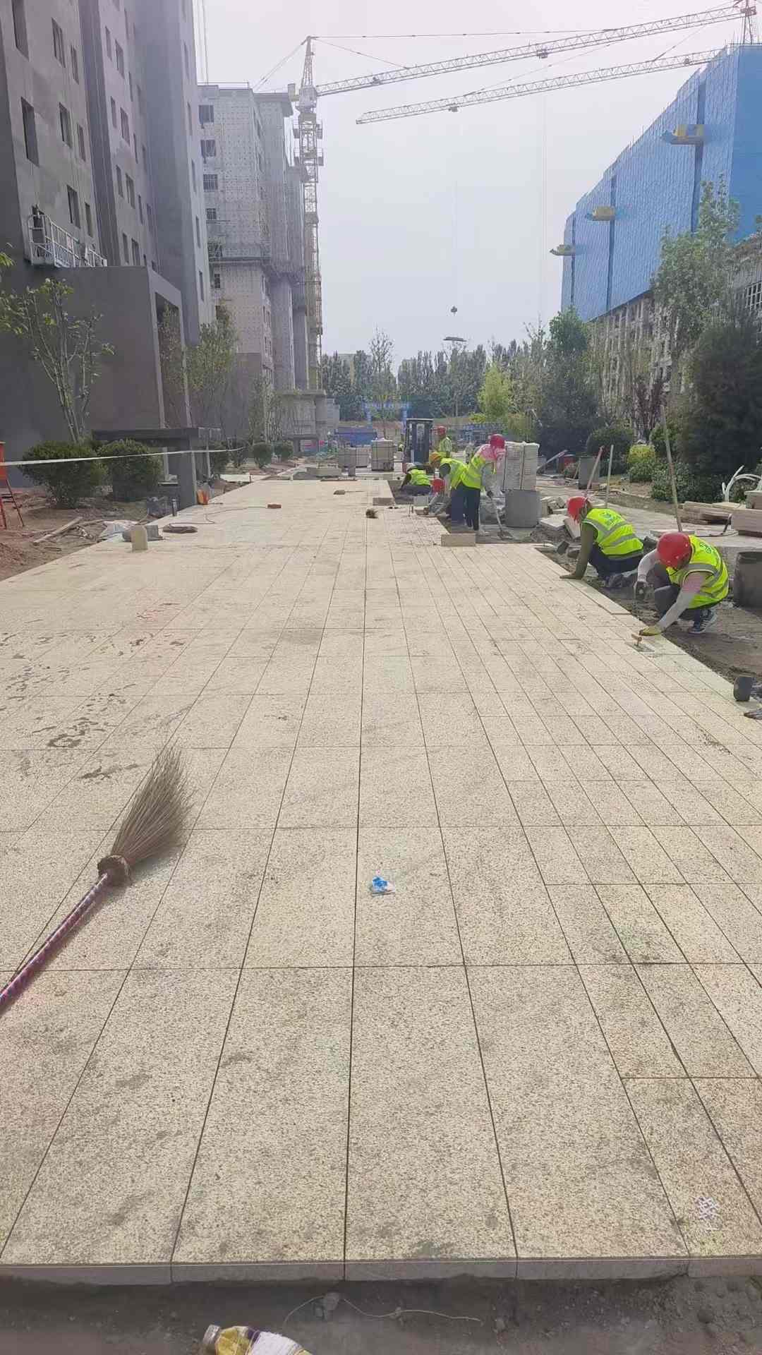 安顺黄金麻荔枝面地铺案例